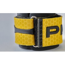 Gold GOLDEN Eagle Grips without holes| PICSIL