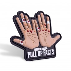PULL UP FACTS PVC velcro patch | TRAIN LIKE FIGHT
