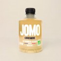 GINGER flavored frozen lemonade | JOMO
