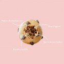 Boite de 3 Energy Balls MONKA BALLS - COOKIE DOUGH | MONKA
