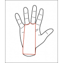 Maniques de sport  protège mains - AZOR grips 2 brown