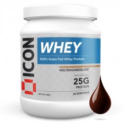 Protéines  960 GR 100% ICON Whey  pour athlète by ICON