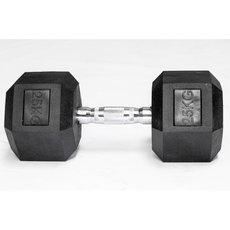 PERF hexagonale 22.5 KG Dumbbell | VERY BAD WOD