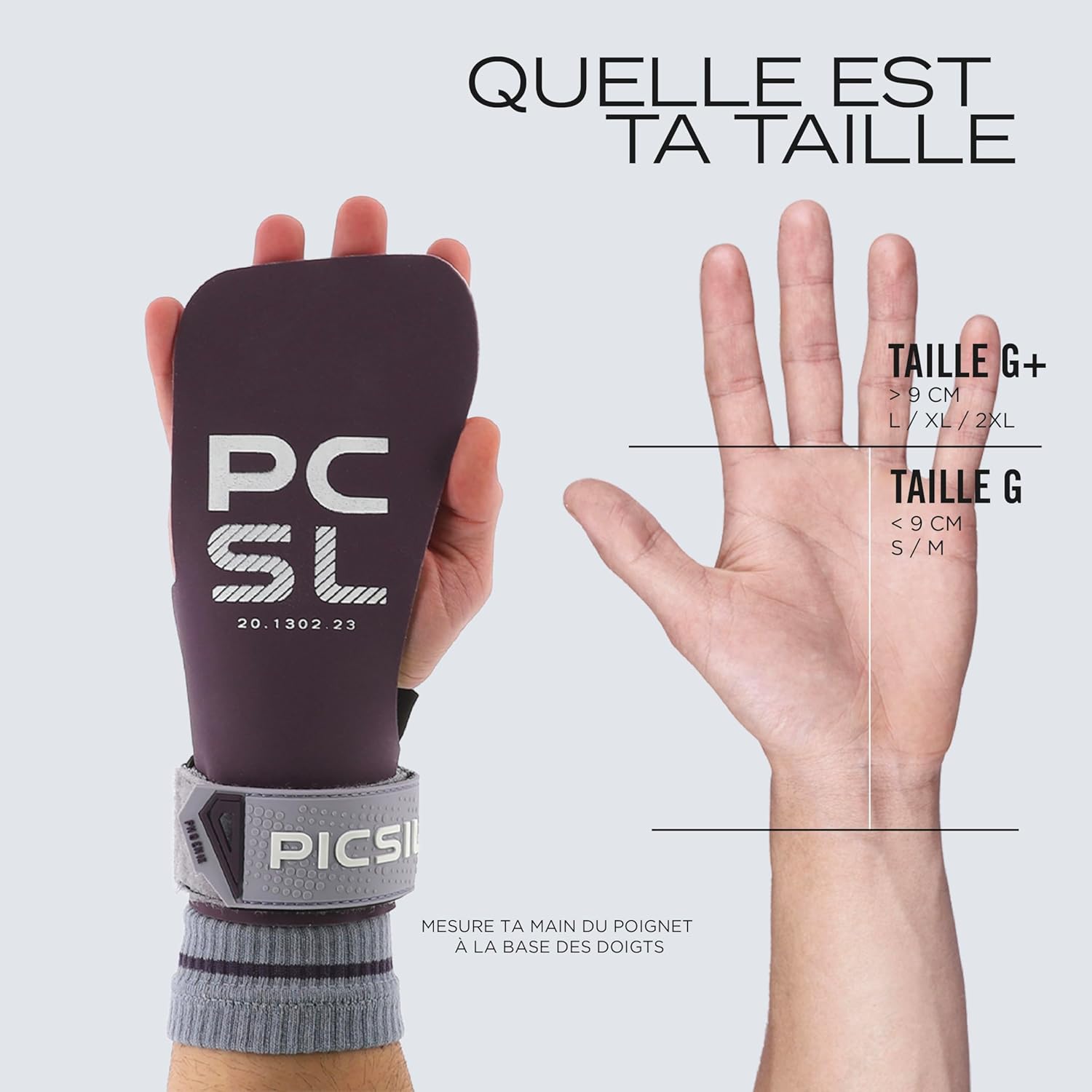 Sie chart PICSIL phoenix aqua grips